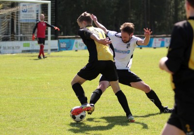 IMG_3403 (Large).JPG